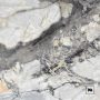 Close-up of gray and white marble with gold veining; fg logo in bottom-right corner